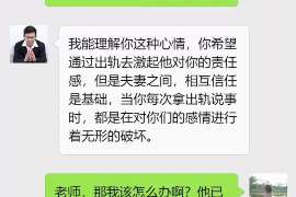 巢湖婚外情调查取证：涉外离婚案件中需提交的材料